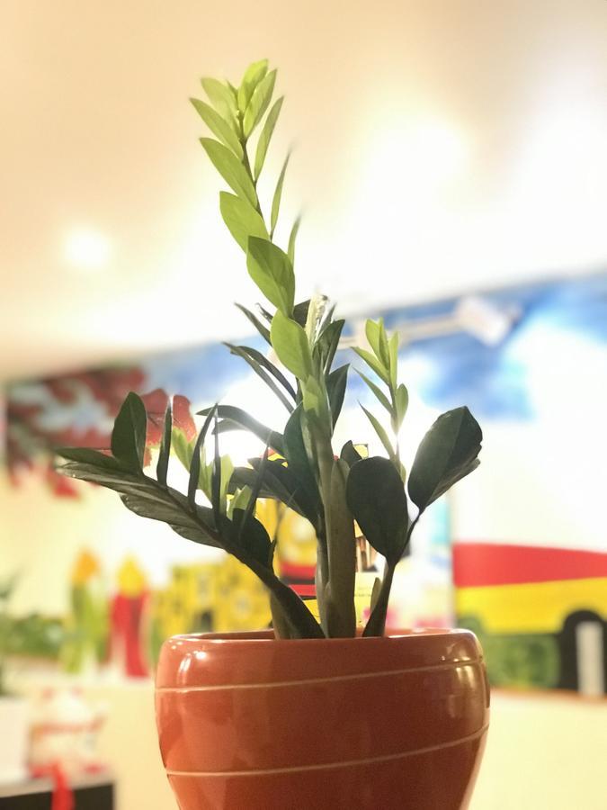 הו צ'י מין סיטי The Lily Hostel & Coffee מראה חיצוני תמונה